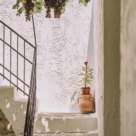 Melody House In *